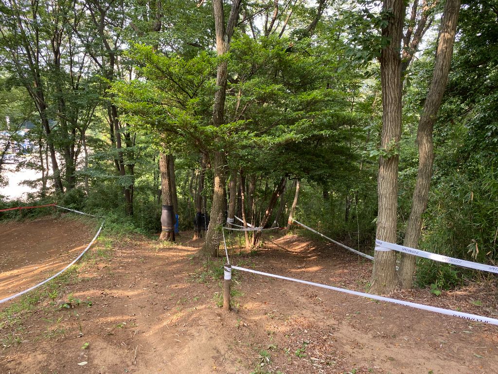 森の中のトレイル